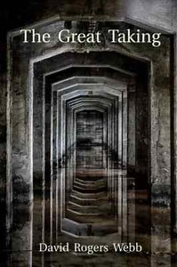 The Great Taking by David Rogers Webb New Book Paperback UK | eBay UK