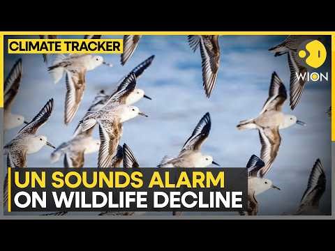 UN Sounds Alarm on Wildlife Decline | 40 Migratory Species Win Global Protection | WION