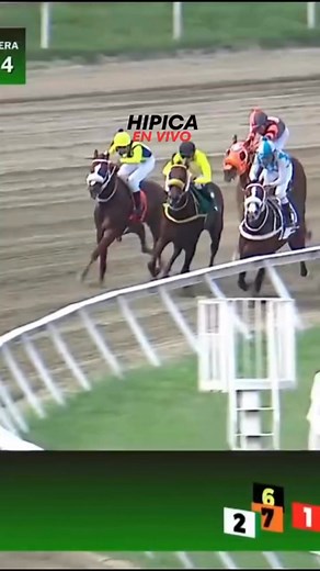 4ª. carrera | MY RETURNING MATE | Hipódromo La Rinconada | Reunión 43 | 2025 HIPICA EN VIVO | Hipica En Vivo