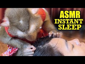 100% No Talking Monkey ASMR | Pure Triggers for Instant Sleep