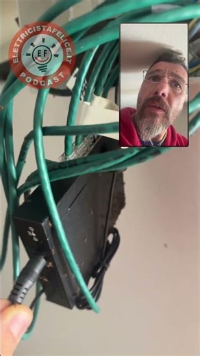 Formiche bruciano lo switch ☹️ forse #elettricista #elettricistafelice #elettrico #impiantoelettrico