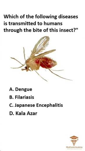 What Disease does this Vector Carry?