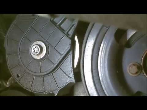 Courroie d'accessoires moteur 1.6 THP Belt accessories