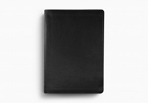 ESV Study Bible
