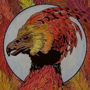 Harry Potter Coloring Book