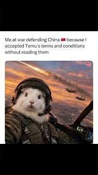 Random Memes Images Eps #19 #memes #funny #trendingshorts #relatable #dankmemes #slideshow