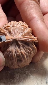ASMR Wood Carving – Hyper-Realistic Frog Faces from Walnuts! #ASMR #WoodCarving #WalnutArt #Handmade #FrogCarving #Satisfying #OddlySatisfying #ArtisticCreations #RelaxingSounds #WoodworkASMR #MiniatureArt #HandCarved #UniqueArt #Soothing #CarvingSatisfaction | A Q Creator