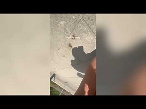 Man Slips And Falls Into Mud During Long Jump Attempt - 1695399