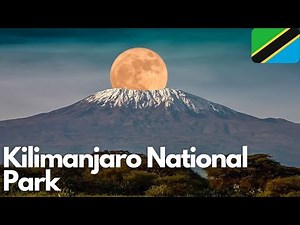Exploring the Wonders of Kilimanjaro National Park
