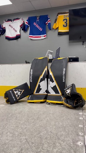 Ball Hockey Goalie Pads - Ideal for Goalies and NHL Enthusiasts!