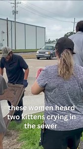 Thanks to Roto-Rooter and Bayou South Animal Hospital for your help rescuing these precious kitties! See after photos here >> https://www.kplctv.com/2024/05/23/plumbers-help-rescue-1-month-old-kittens-lake-charles-storm-drain/ | KPLC 7 News