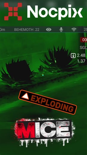 Exploding mice with an air rifle and the nocpix Bolt. #hunting #thermal