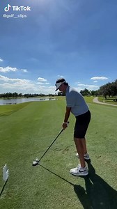 Bubba Watson swing