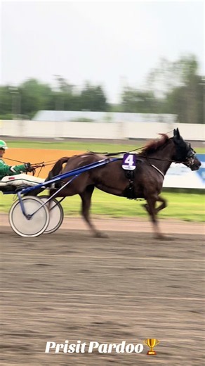 Prisit Pardoo ja Ari Moilanen voittavat Kohti Kuninkuusraveja -lähdön Forssan Pilvenmäellä 6.6.2026. #ravit #harnessracing #hevonen #horse #suomenhevonen