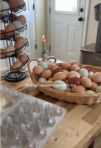 Colorful Fresh Egg Cartons: A Delightful Farming Experience