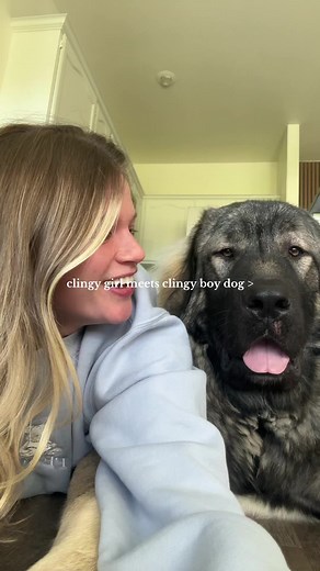 Cute Dog Kisses Compilation - Skylar Blue Videos
