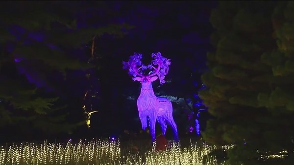 2025 Guide: Must-see holiday light displays, events in Chicago, suburbs