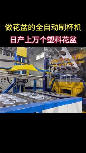 Thermoforming Machine for Plastic Packaging Production
