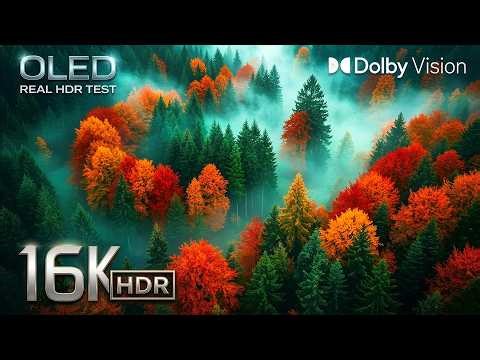 Ultimate New TV Test Experience — 16K HDR 120FPS Dolby Vision (4K / 8K Smart TV Test)