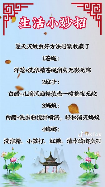 Household Tips for Dealing with Cockroaches | Effective Borax Solutions