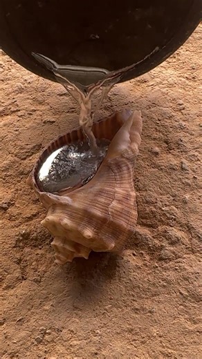 Garage Made Snail Shell Art 🐌 #aluminum #restoration #satisfying