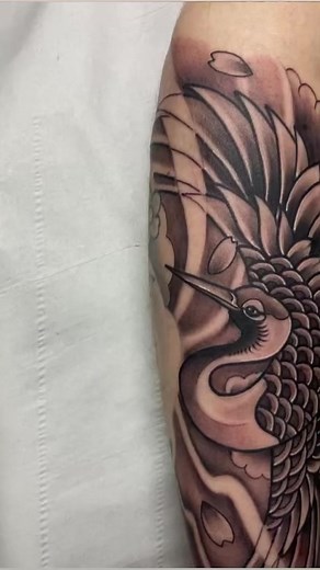 Wow! Awesome work from Nathan here in the studio yesterday with this black and grey Neo-Trad Crane completed for Oliver!👏👏👏Message for bookings and enquiries! 📞01200539406 / 07745528975🏠The Old Bank House, Wellgate, Clitheroe BB7 2DP✉️Info@holygrailtattoos.co.uk🌍www.holygrailtattoos.co.uk@holygrail_tattooink @holygrailtattoocartridges @tattooeverythingsupplies @tattoo_iaa #tattoo_iaa #tattooeverythingsupplies #tattoolowdowntv#readysteadystencil #holygrailtattooinks #holygrailgripklenze #ho