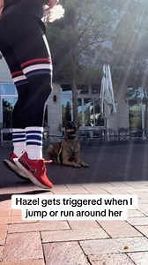 1.6K views · 31 reactions | I was appreciate knowing my working dog’s bad habits, so I can tackle them head on. | Code Red Lifestyle | Facebook