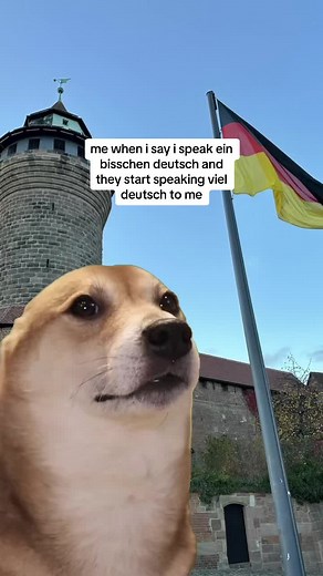 Struggling with Learning German: My Journey with Duolingo