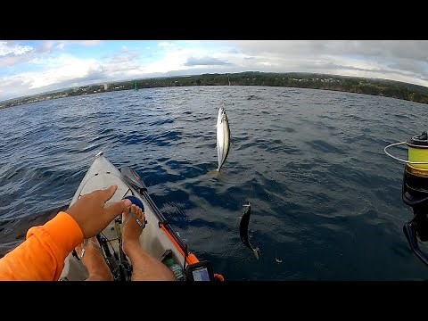 Hilo Kayak Fishing for Opelu