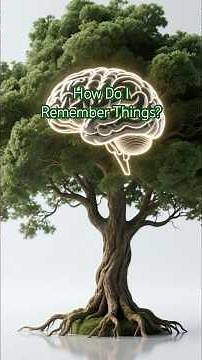 How Do We Remember Things? 🧠