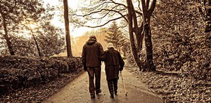 Knee - Patellofemoral Replacement - AOA Orthopedic Specialists