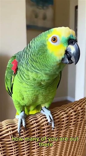 When a parrot keeps talking, hoping someone will listen #talkingparot #parrot #youtubeshorts #shorts