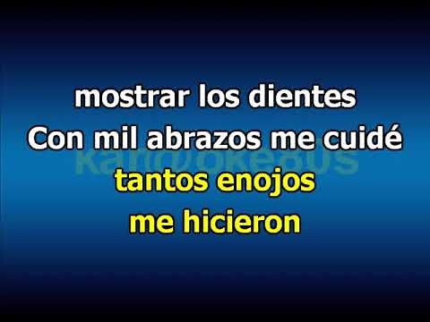 Brindis - Soledad Pastorutti karaoke