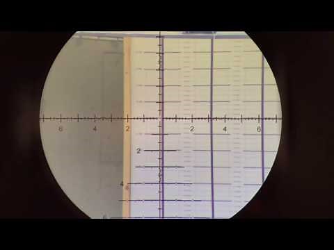 Short Action Customs: Final Scope Level- How To