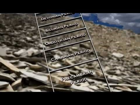 DARWINS DILEMMA The Cambrian Explosion Chapter 1