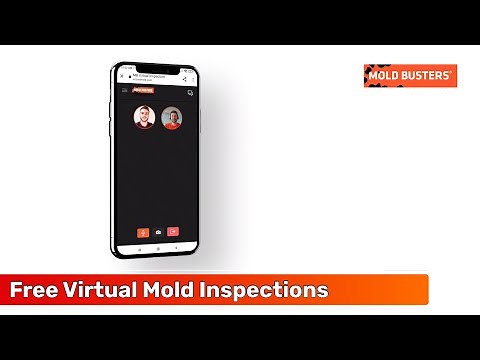 Free Virtual Mold Inspections - Mold Busters