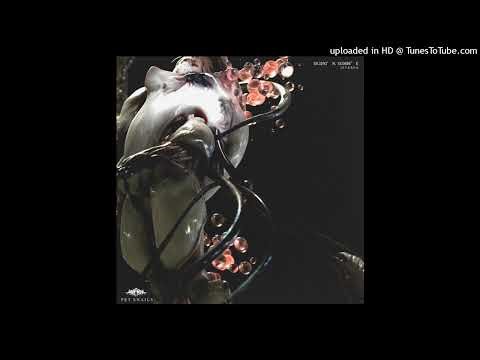 analog heron - istasha