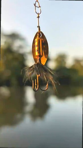 Catching a Small Bluegill with a Rooster tail in-line spinner fishing lure #fishing #pageviralシ゚ #pageforyou #virals #post #survival #bassfishing #fishinglife #fish #catchfish #diy | Zandy Stein