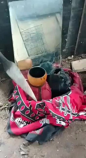 sengan'xolela kakhulu zitha zam