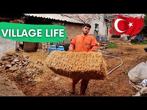 A Day The Life Of Turkish Farmerlife || Turkish village life