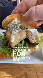 Pike Perch Po-Boy from Wander In in Manistee. Seasoned and fried pike perch fillet. Served up with lettuce, tomato, and remoulade. Served on ciabatta roll. #manistee #michiganfoodie #fish | MI Playground