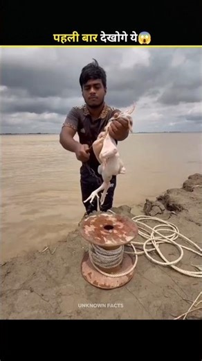 How To Catch Fish With Chicken?🐔