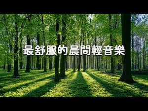 【100%無廣告 ,超人氣】最舒服的晨間輕音樂 🎵 讓身心瞬間放鬆的早上音樂, 舒壓療癒鋼琴音樂, 森林自然音乐