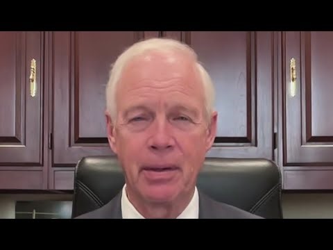 Trump has made 'great strides' in bringing energy costs down: Sen. Johnson | NewsNation Live