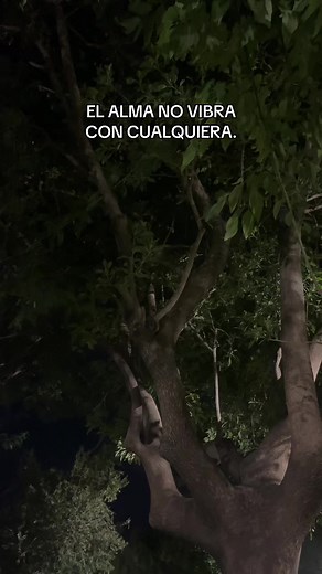 Videos de eddysongs.0 (@eddysongs.0) con “Signos (Remasterizado 2007) - Soda Stereo”