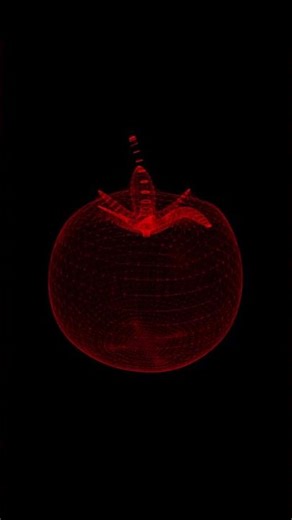 UltraHD Wireframe Tomato| Futuristic Overlay I (Free to Use) #animation #3danimation #blender