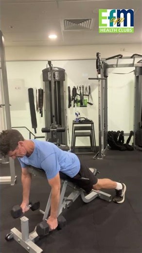 Dumbbell inverted row - EFM Health Club App