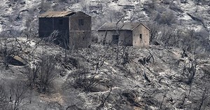 Algeria probes lynching of arson suspect after deadly fires