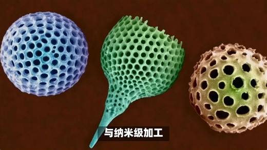 案例展示｜FIB-SEM在材料科学领域的应用