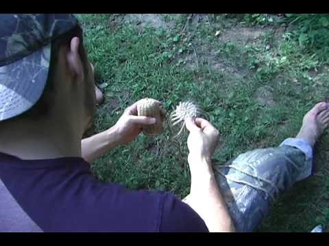 How To Make A Cordage Basket